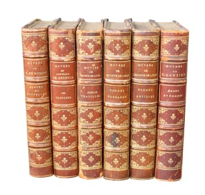 Lot of 6 French leather bound books 'oeuvres de A. de Musset'