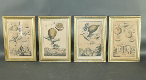 Lot of 4 Hand-Colored Botanical Engravings after Johann Christoph Volkamer - Borghese label en verso