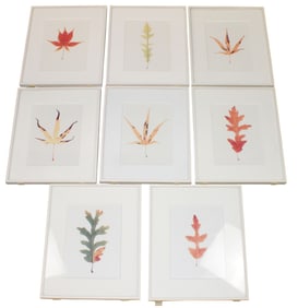 Lot of 8 Garry Fabian Miller leaf light dyed prints