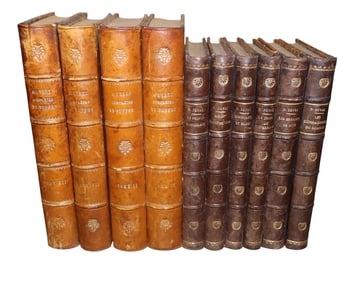 Lot of 10 French leather bound books