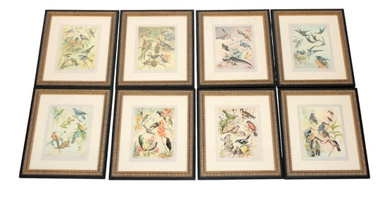 Lot of 8 artist signed ornithological prints