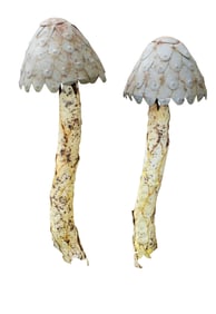 Pair of Folk Art painted metal garden mushroom sculptures