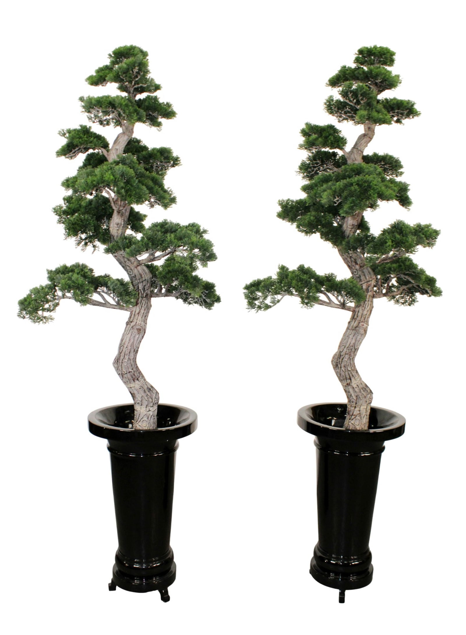 Lot of 2 artificial bonsai style Podocarpus trees in black planters (1 of 9)