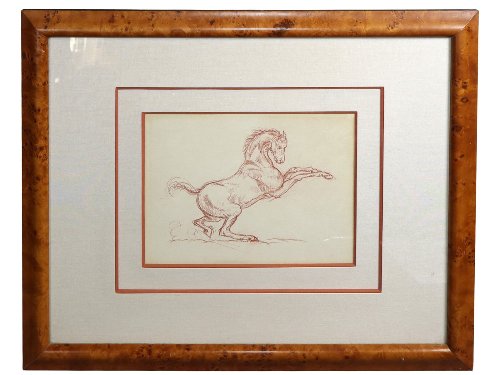 French charcoal drawing of a horse (1 of 6)