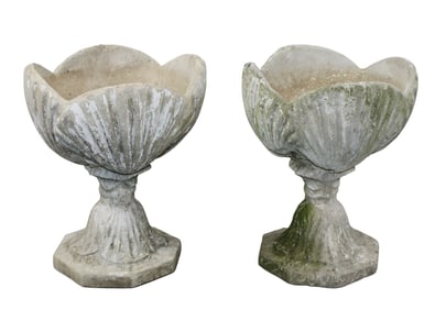 Pair of cast garden shell form pedestal base planters