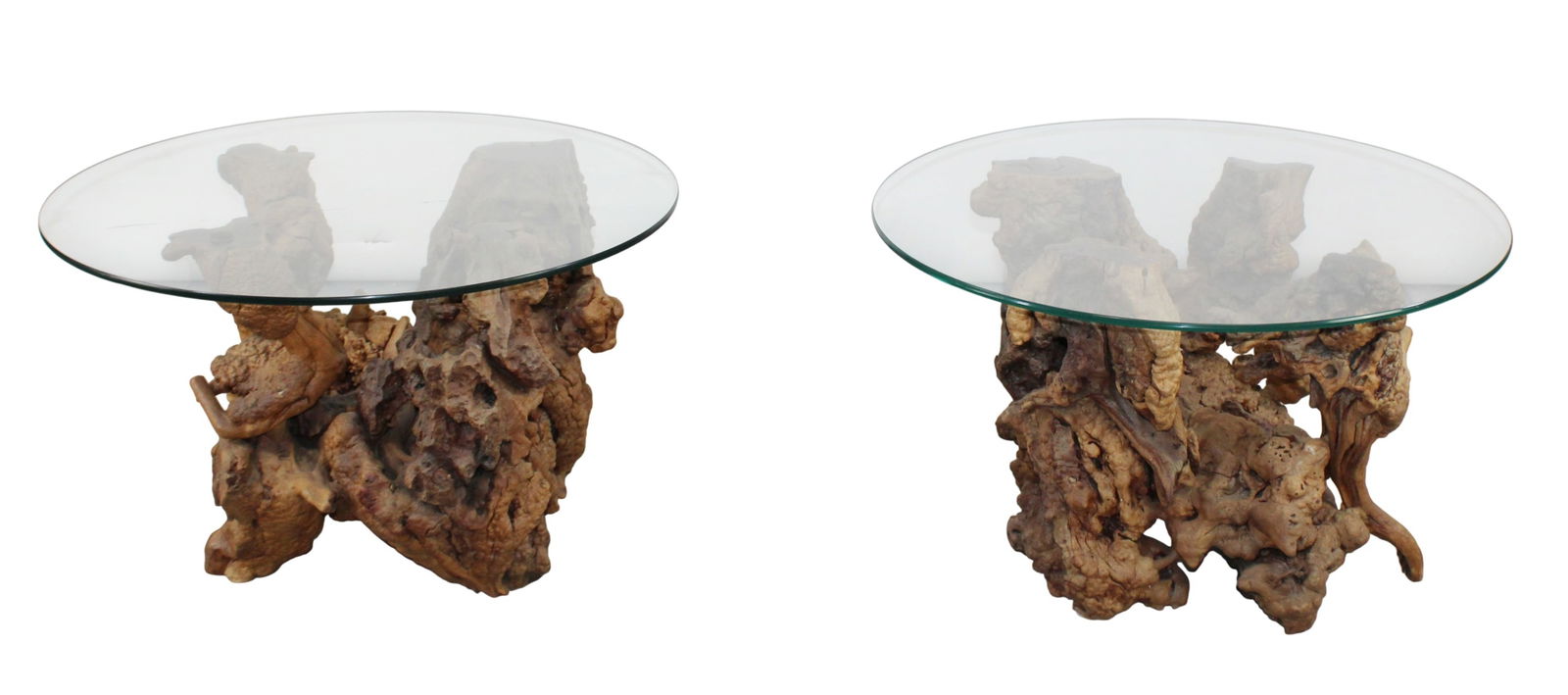 Pair burled root table bases with glass tops: Pair burled root table bases with glass tops. 19"h x 18"w x 18"d. Glass tops 30" diameter