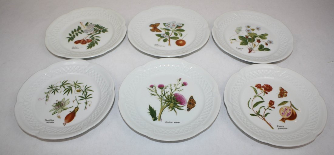 Set of 6 French porcelain botanical plates
