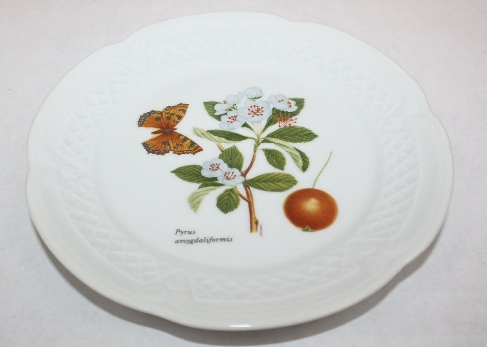 Set of 6 French porcelain botanical plates - 2
