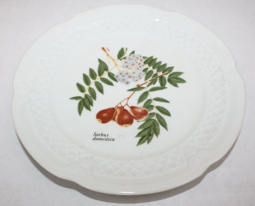 Set of 6 French porcelain botanical plates - 3