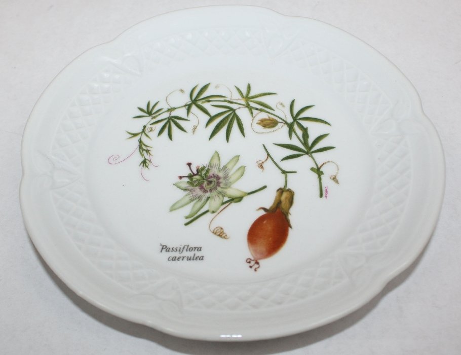Set of 6 French porcelain botanical plates - 5