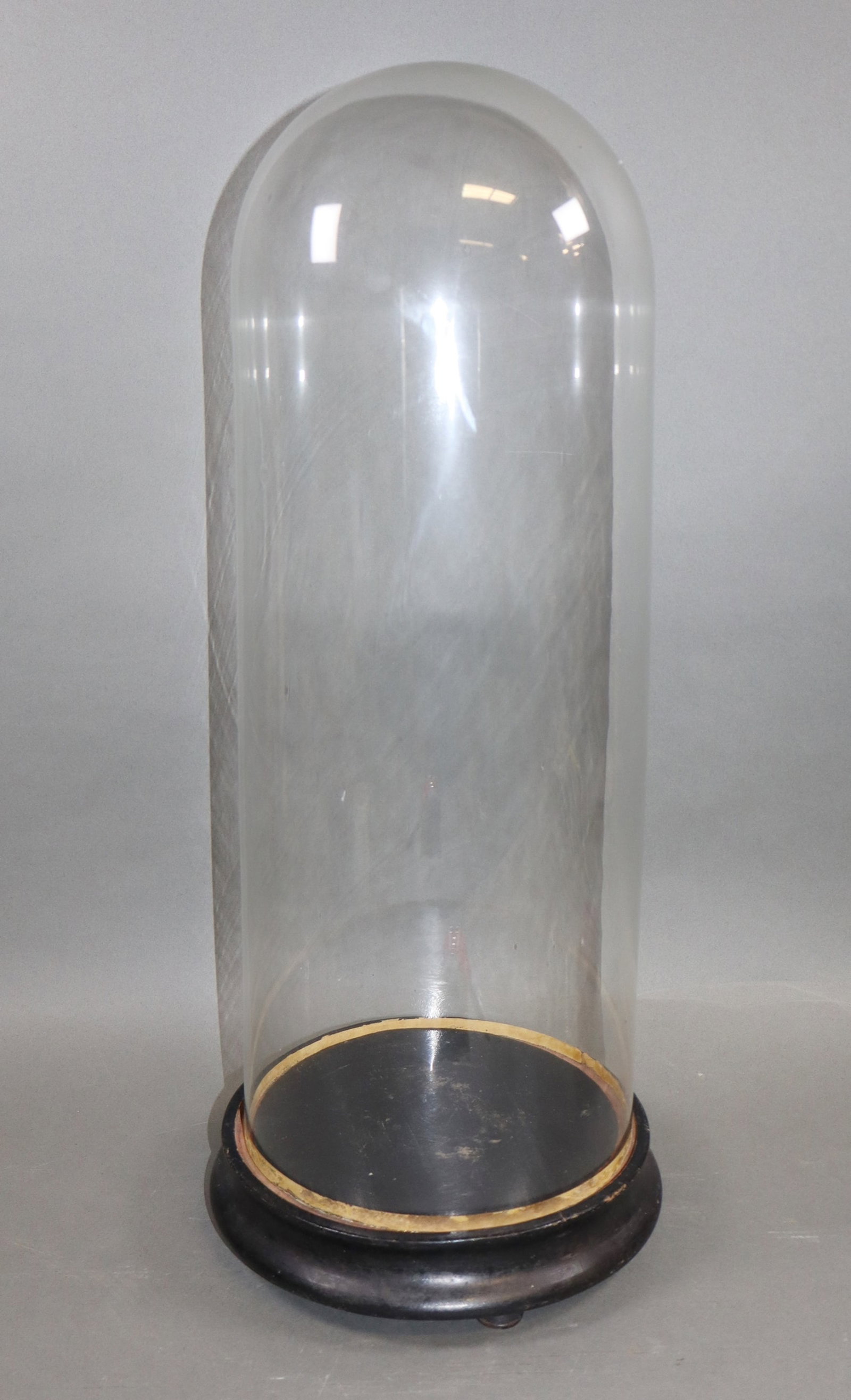 French glass collector's dome on ebonized wooden base (1 of 7)