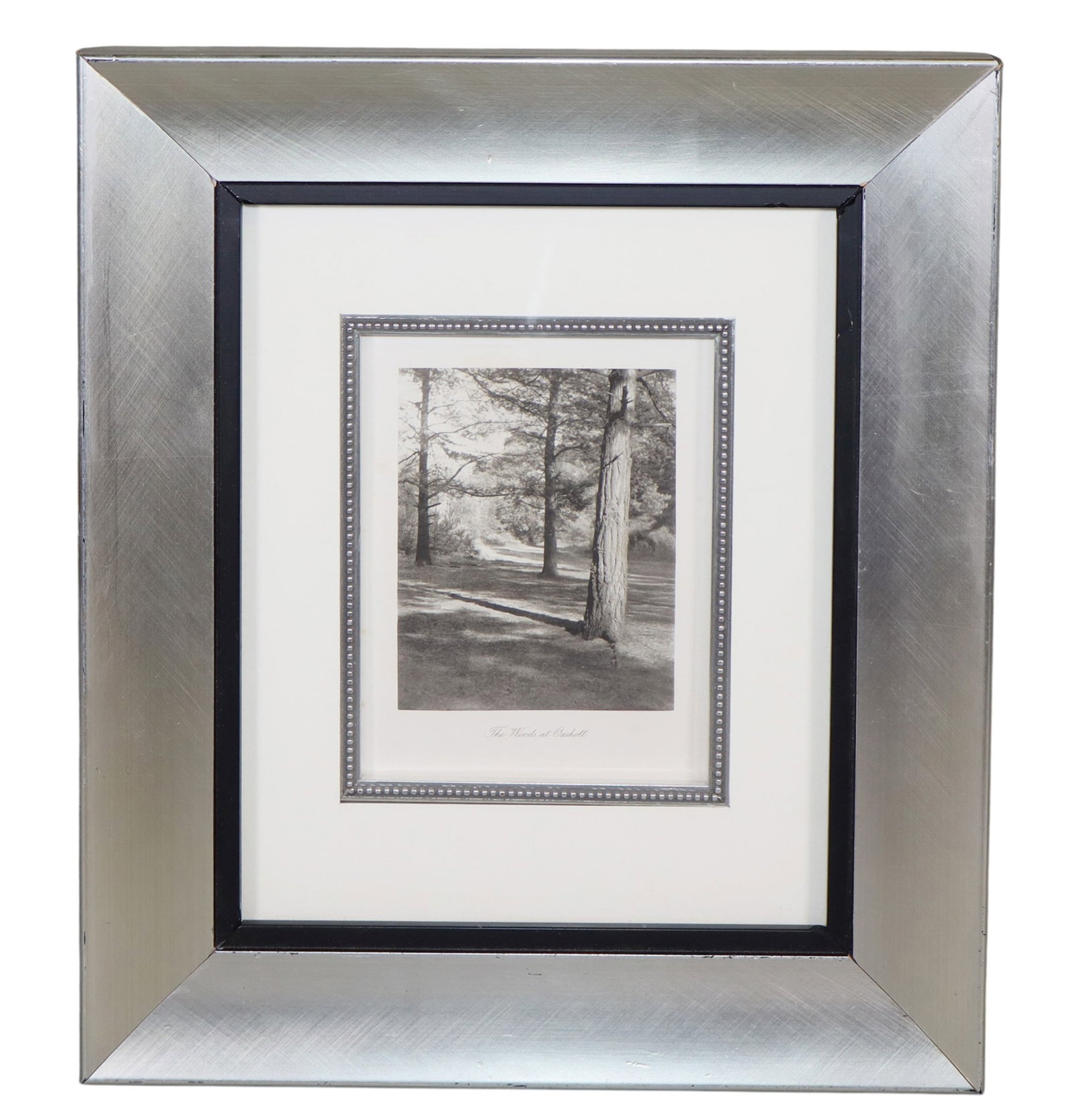 Framed photo "The Woods at Oxshott" - Frederich Evans (1853 - 1943): Framed photo "The Woods at Oxshott" - Frederich Evans (1853 - 1943.) Framed: 13 3/8"h x 11 3/8"w Sight: 7 1/7"h x 5"w Weight: 3lbs