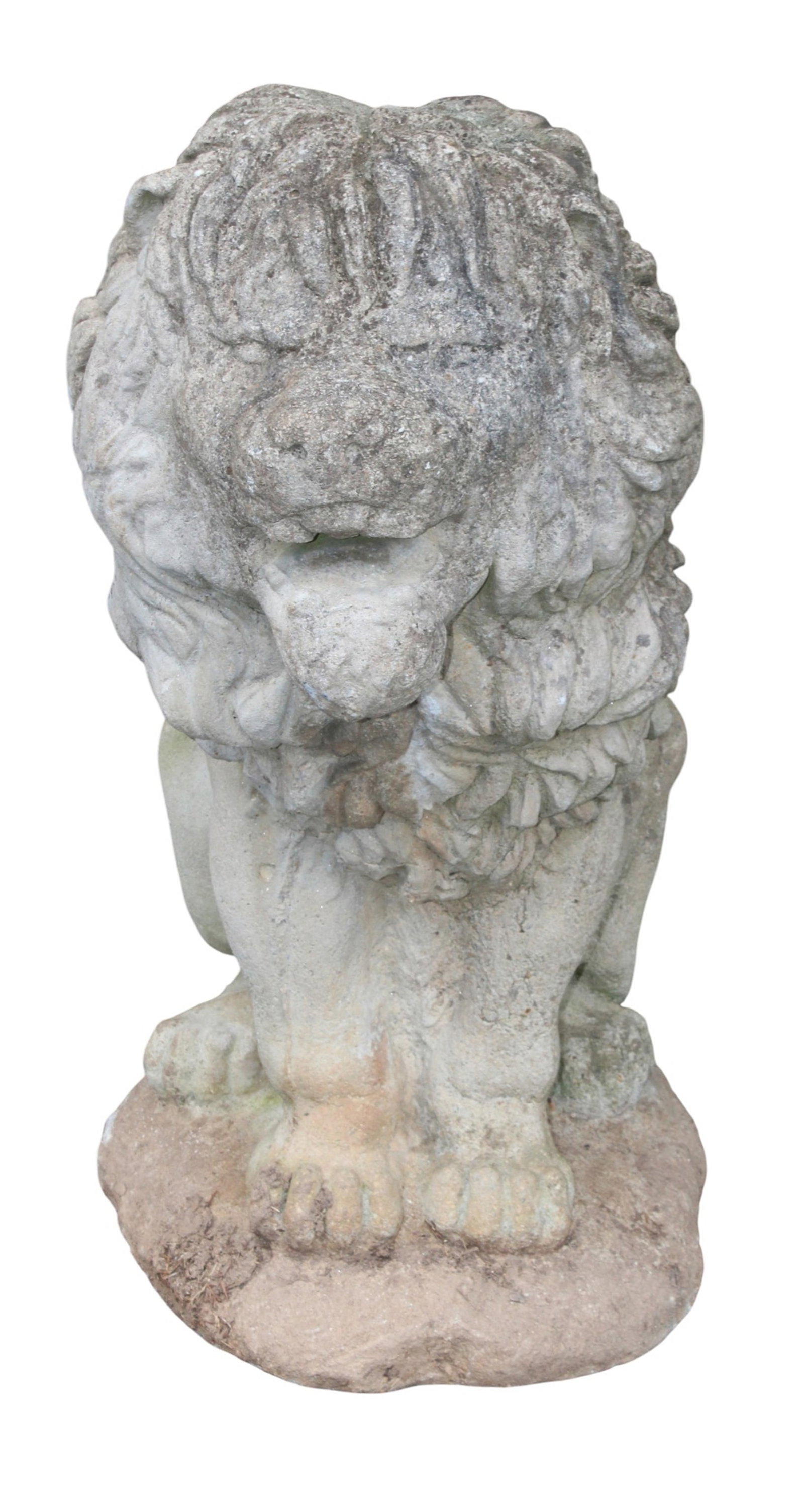 Cast garden stone seated lion: Cast concrete seated garden entry lion. 31"h x 14"w x 20 1/2"d