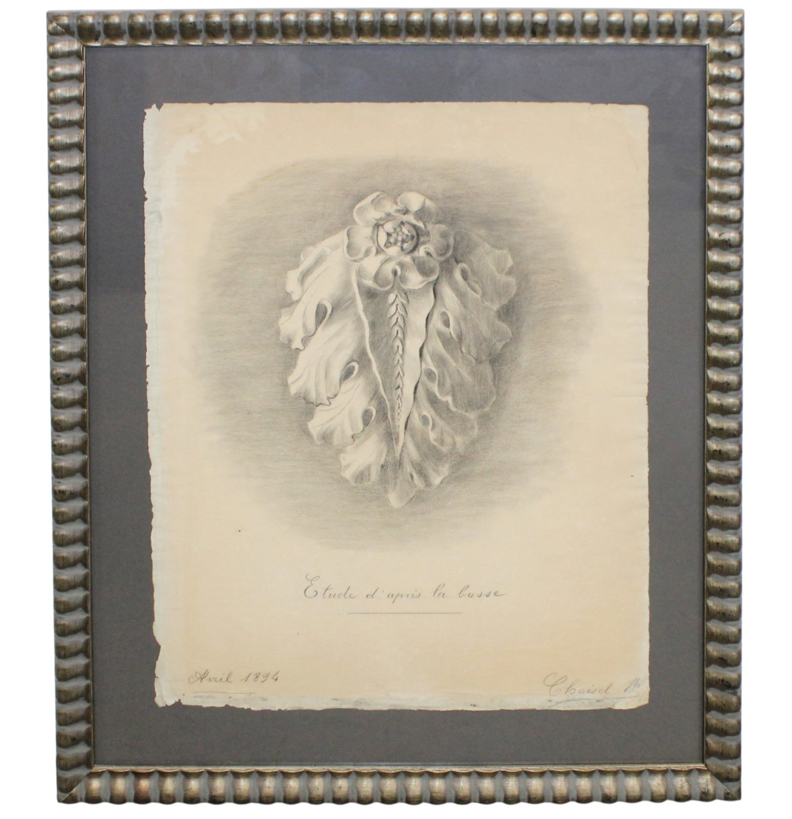 19th century charcoal drawing of architectural foliage: 19th century charcoal drawing of architectural foliage. Dated April 1894 signed l/r Choisel (?) 32 3/4"h x 26 1/2"w sight: 24 1/2"h x 19"w