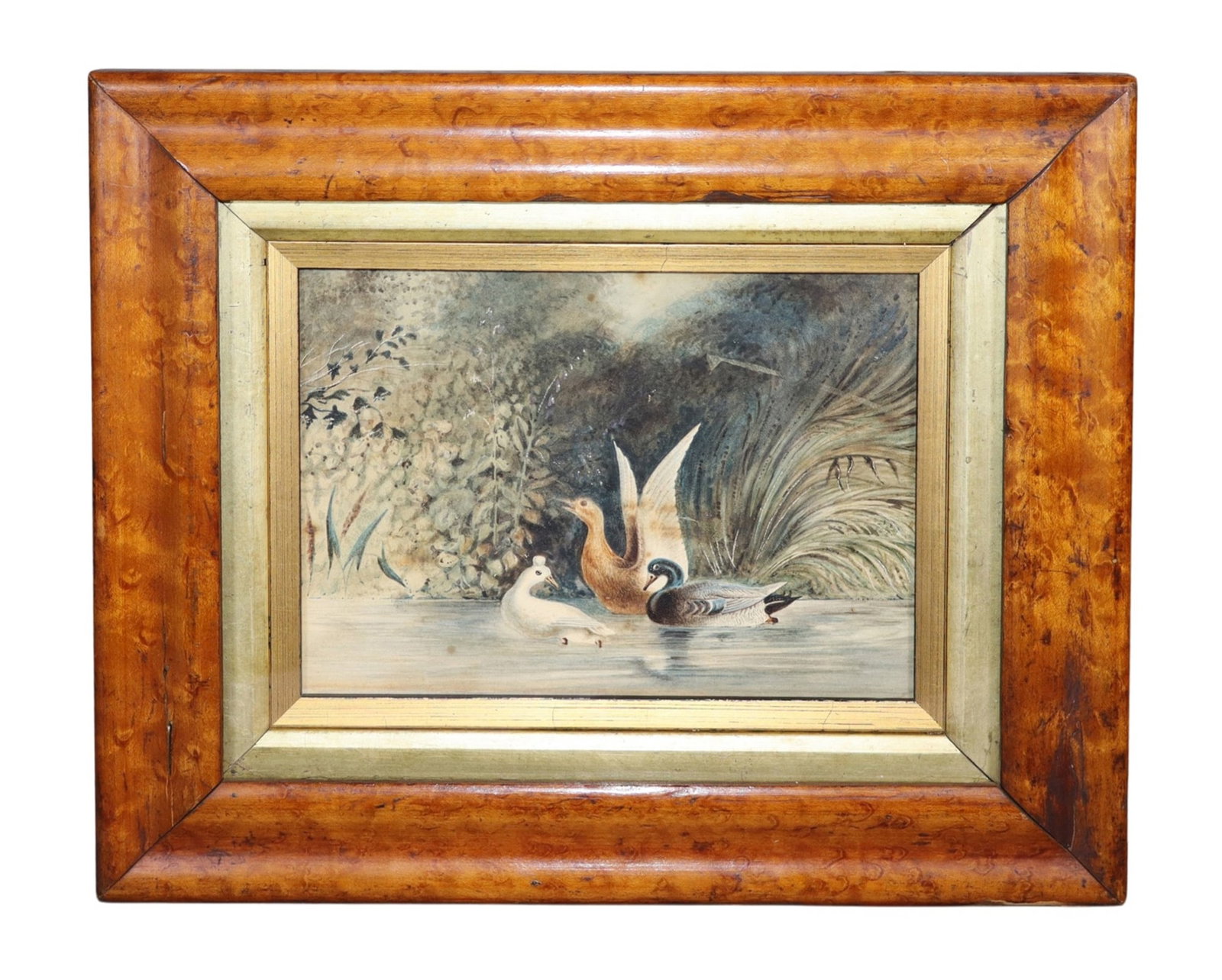 Watercolor on paper painting ducks in pond: Watercolor on paper painting ducks in pond. Overall: 9 7/8"h x 11 7/8"w Sight: 5 1/8"h x 7 1/8"w Weight: 2lbs