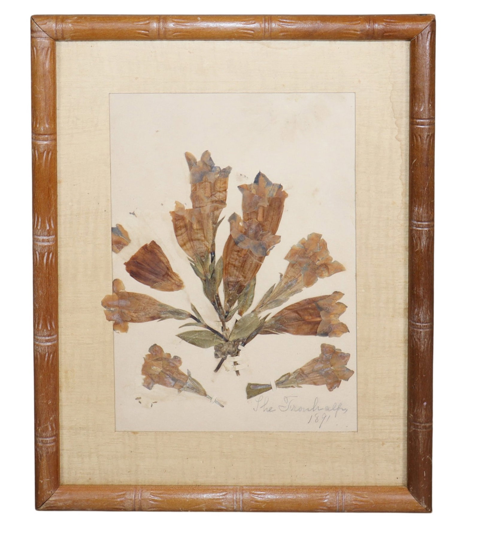 Swedish pressed herbarium botanical in faux bamboo frame (1 of 7)