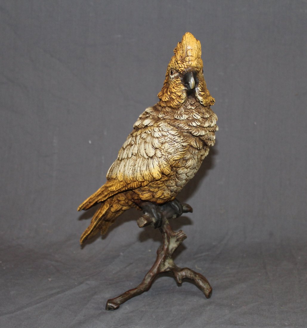 Austrian cold pained bronze cockatoo (1 of 5)
