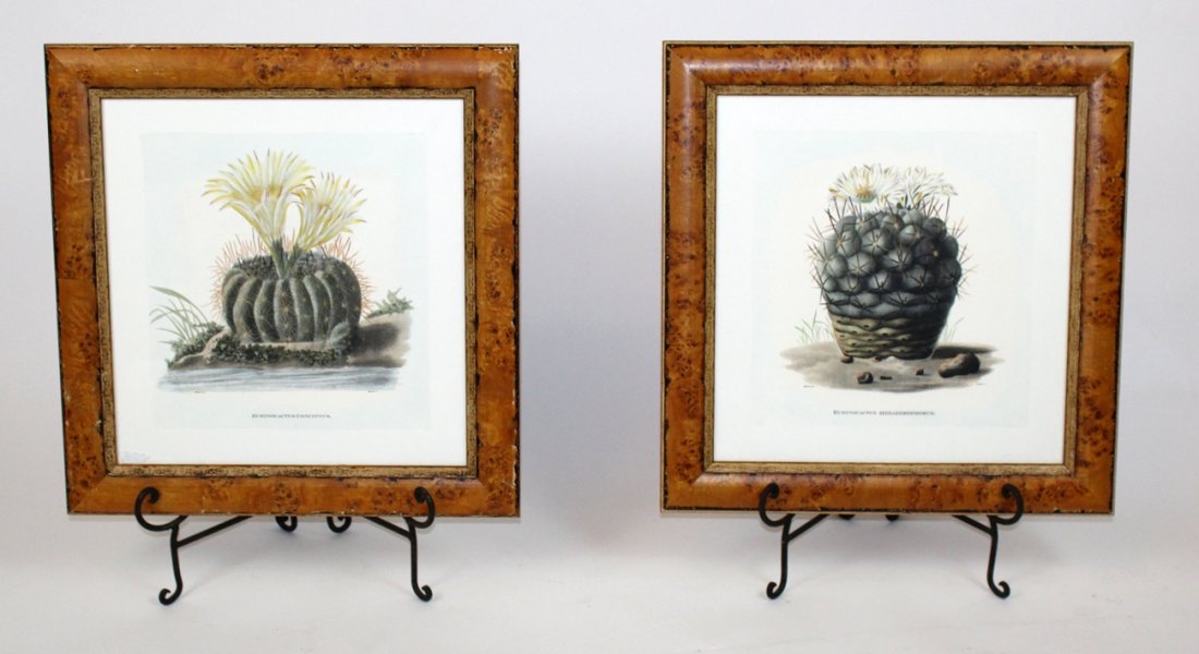 Pair of botanical prints in birds eye maple frames (1 of 2)