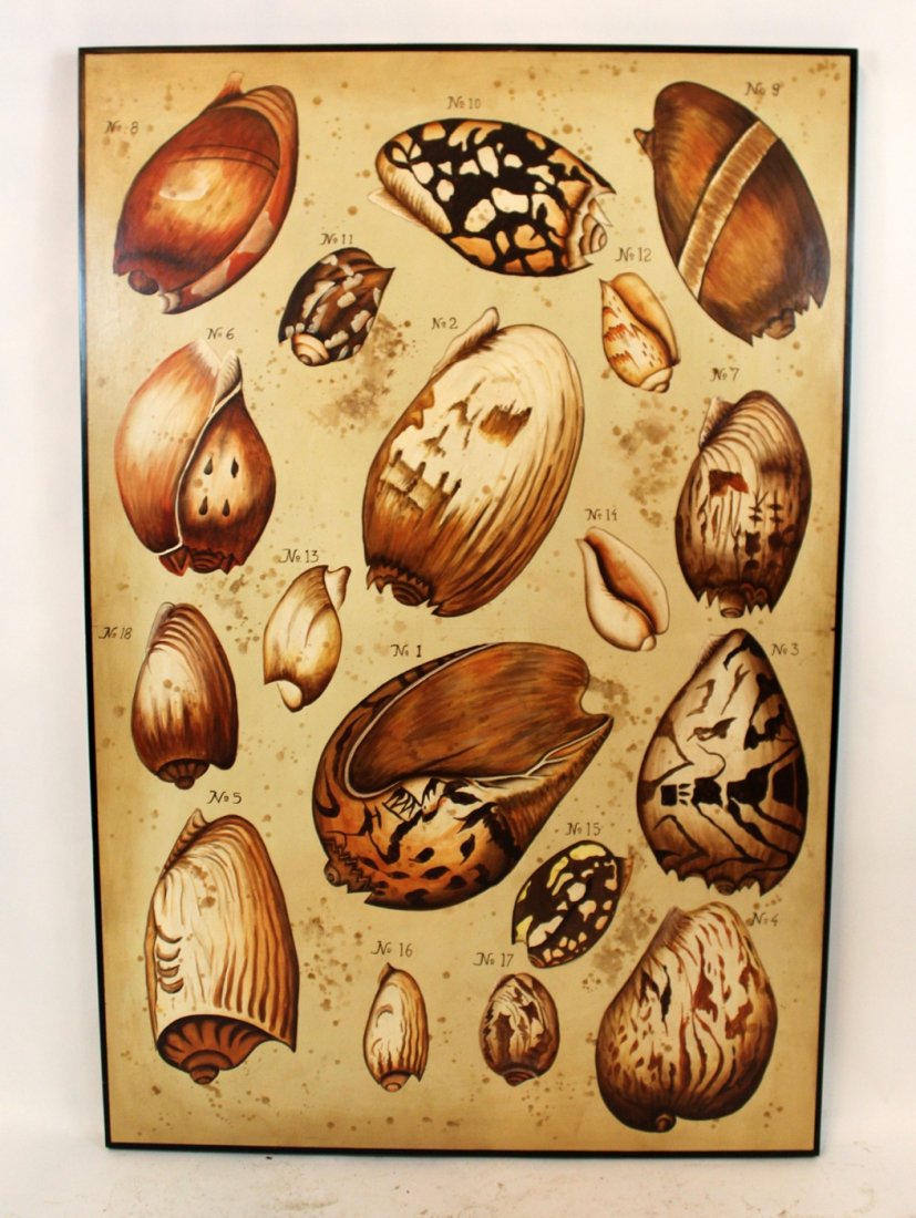 Painting on wood of shell speciman (1 of 4)