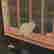 item-51295304=3