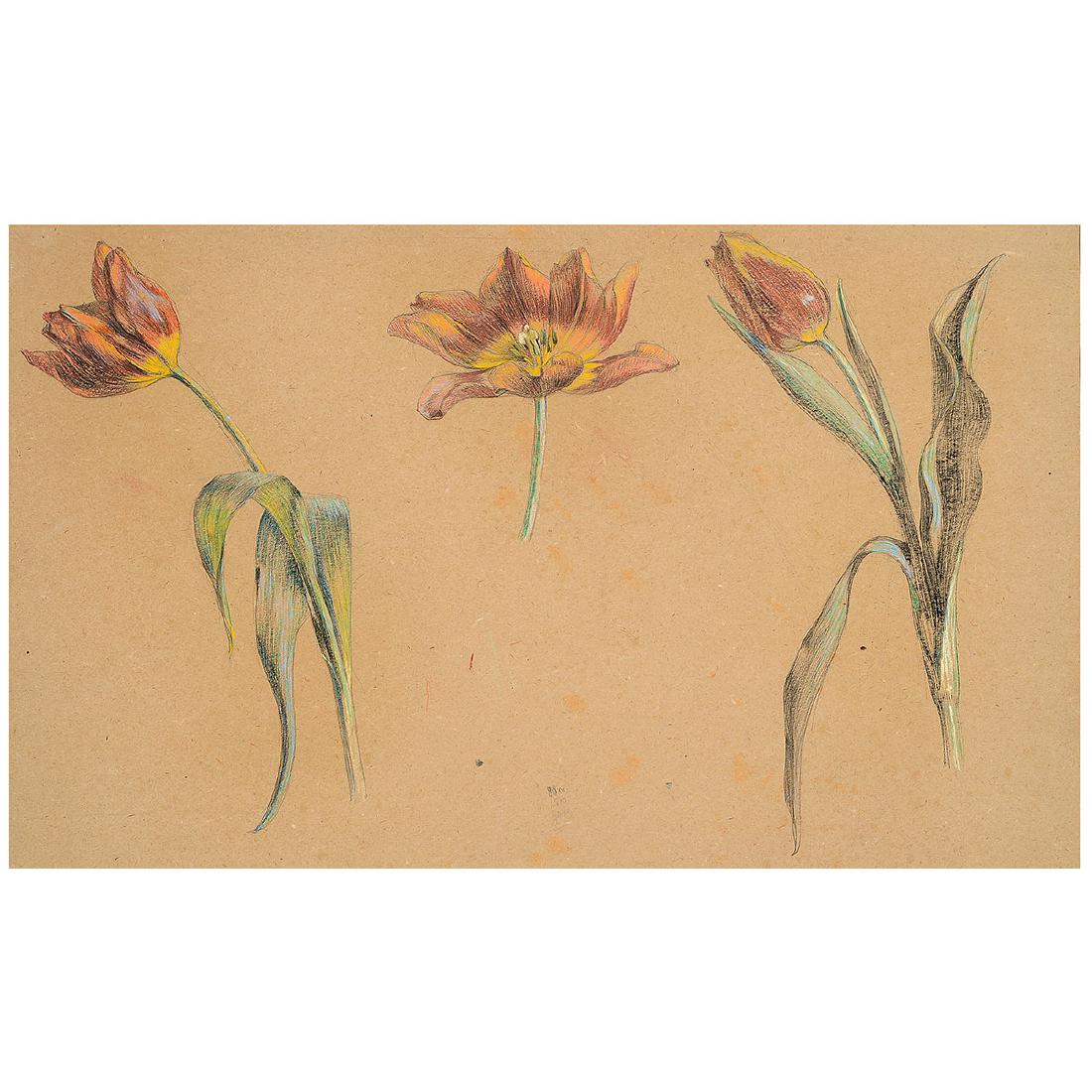 Rene Ernest Huet "Study of Tulip Stems" watercolor on (1 of 7)
