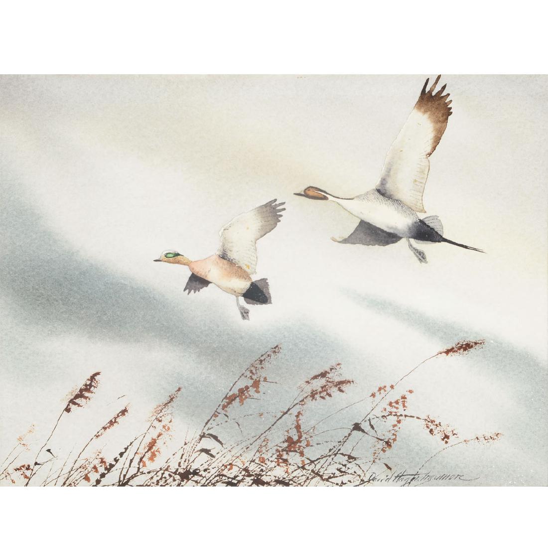 David Hagerbaumer "Widgeon and Sprig" watercolor (1 of 5)