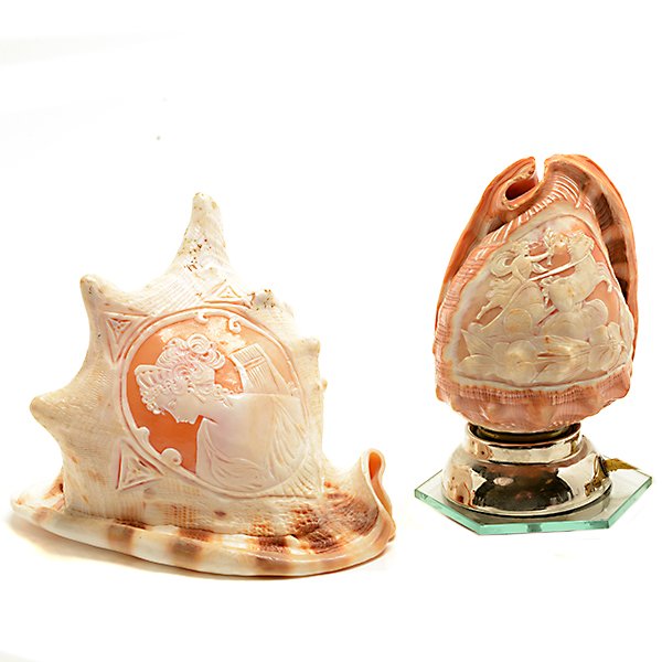 Conch Cameo Shell and Two Shell Cameo Lamps (1 of 8)