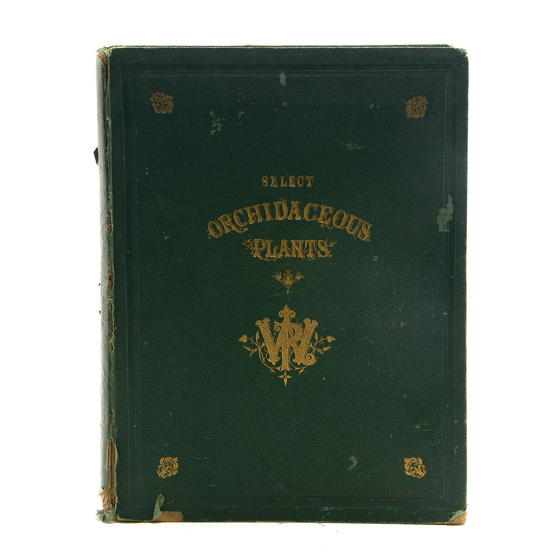 Robert Warner "Orchidaceous Plants" second series (1 of 7)