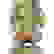 item-53534559=6