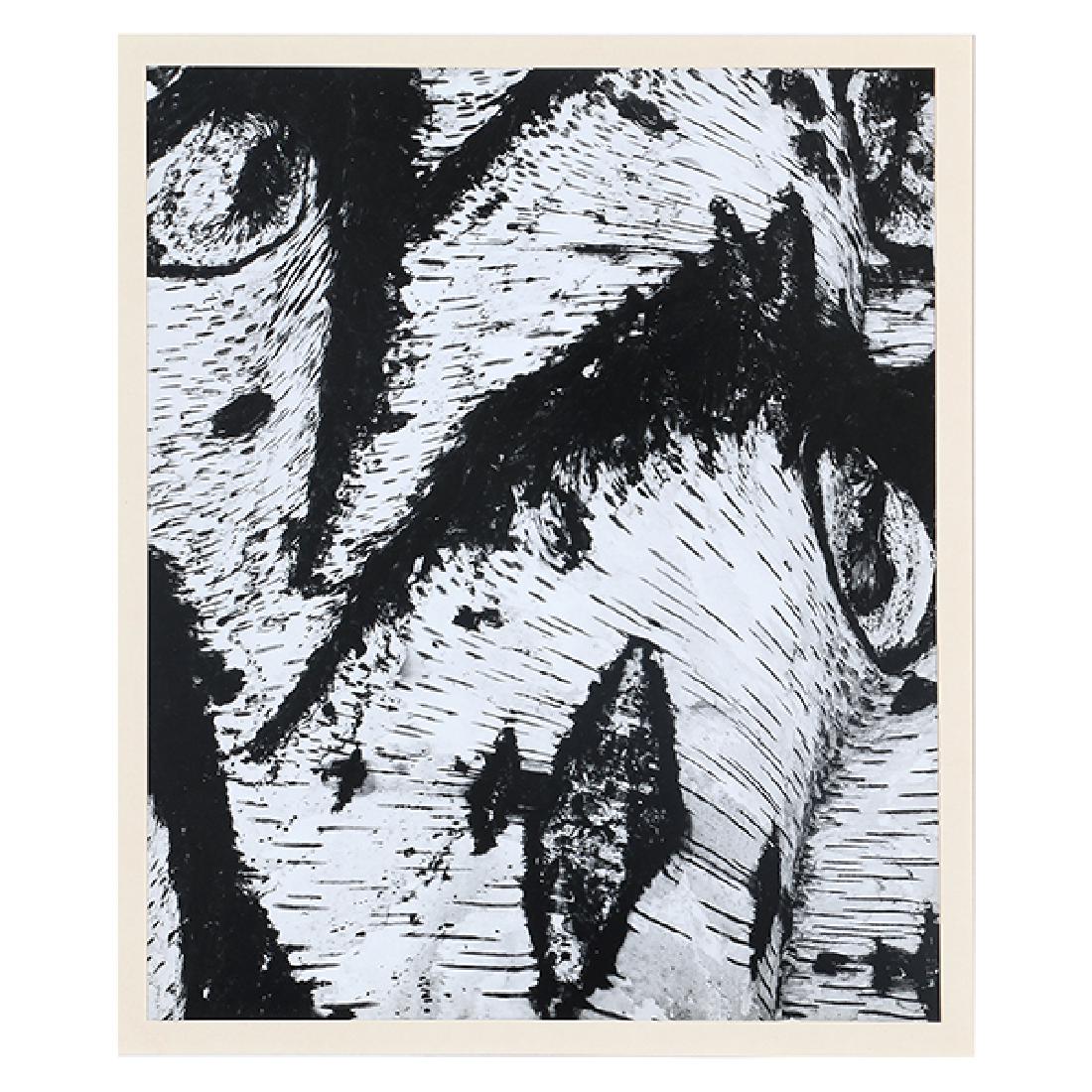 Brett Weston "Abstraction 1968" silver gelatin print (1 of 3)