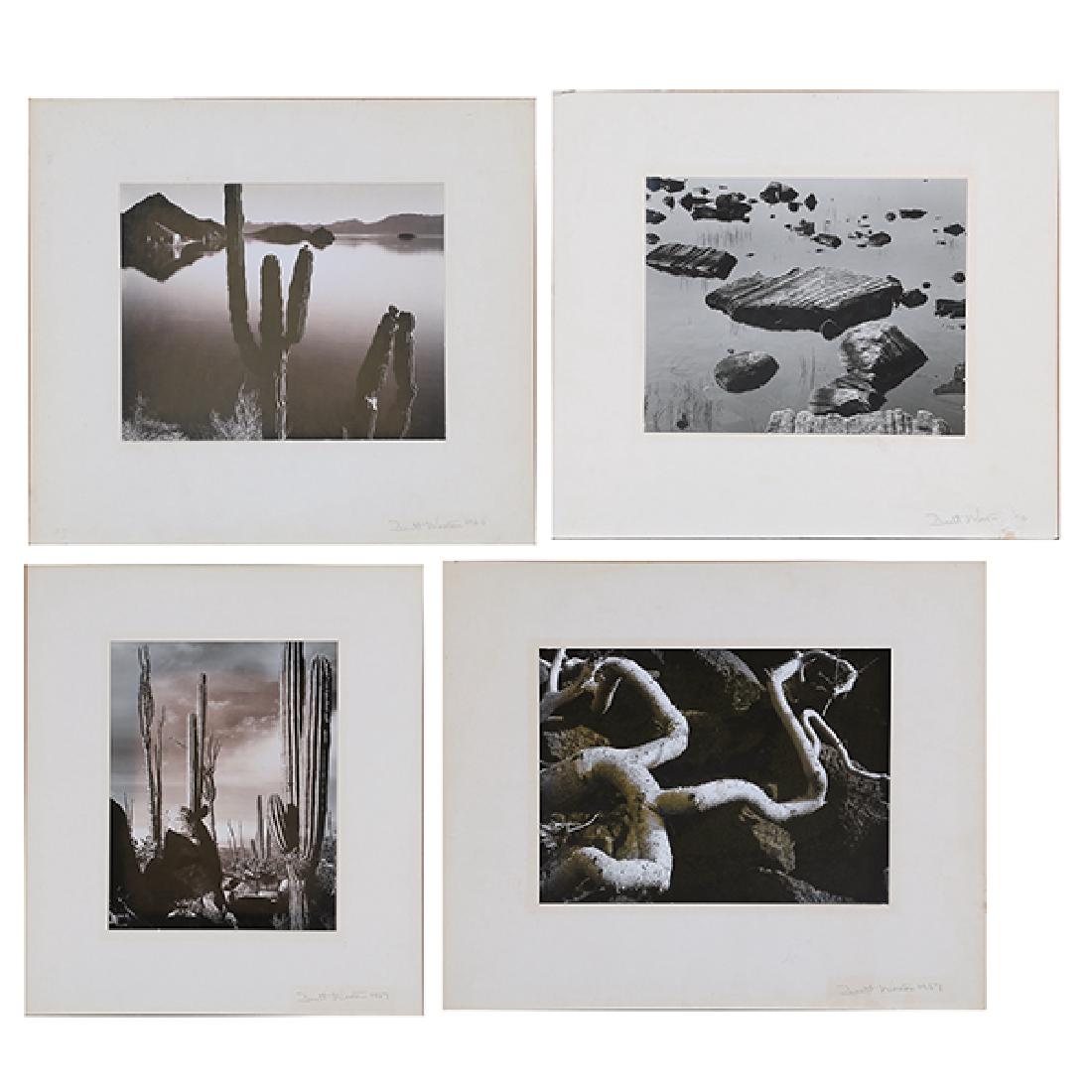 Brett Weston 4 unframed silver gelatin prints (1 of 9)