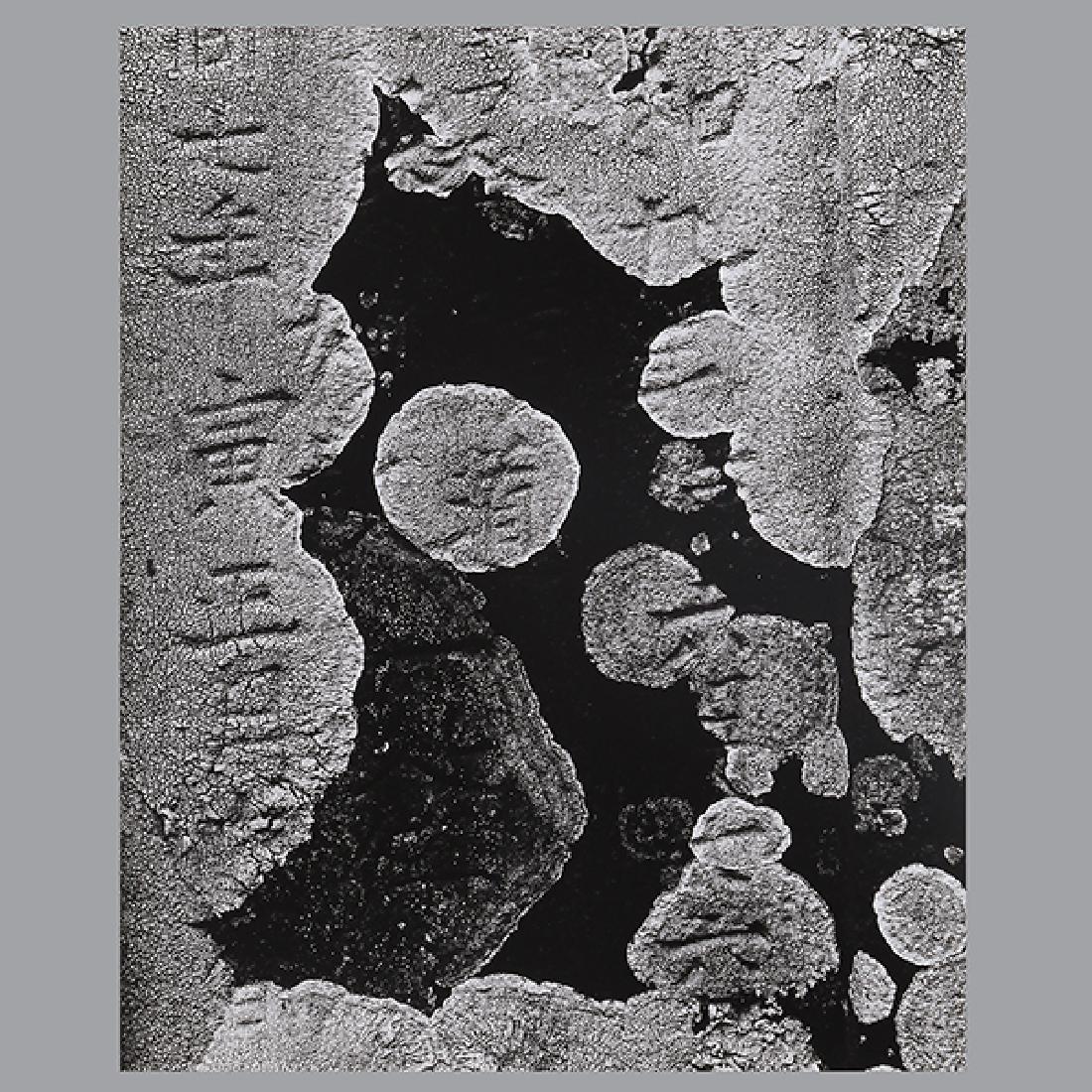 Brett Weston "Headstone and Lichen, Japan" silver (1 of 3)