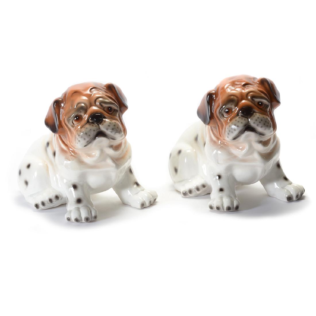 Pair of Large Boxer Dogs (1 of 5)