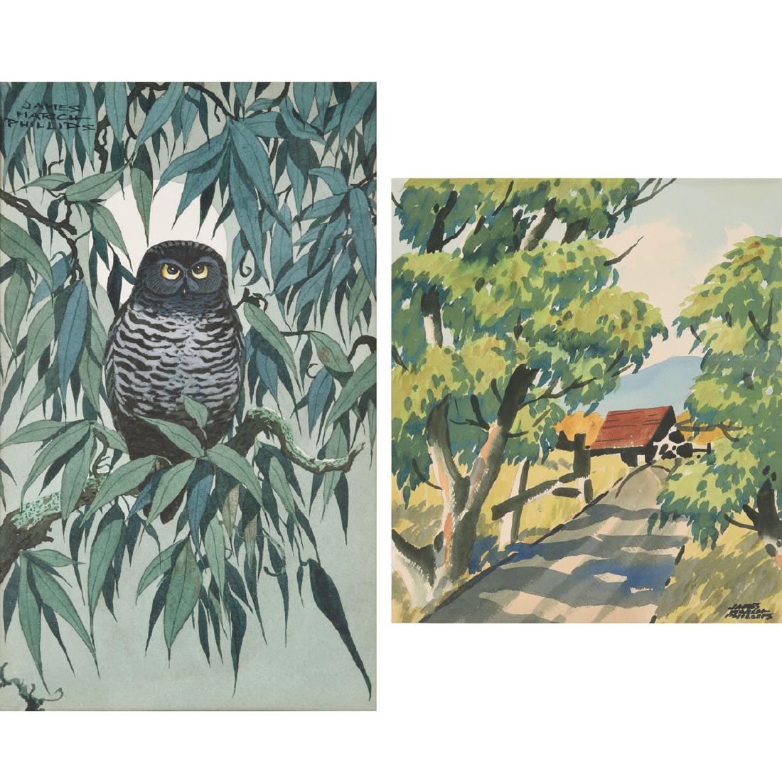 James March Phillips "Little Owl in a Willow Tree", & (1 of 9)