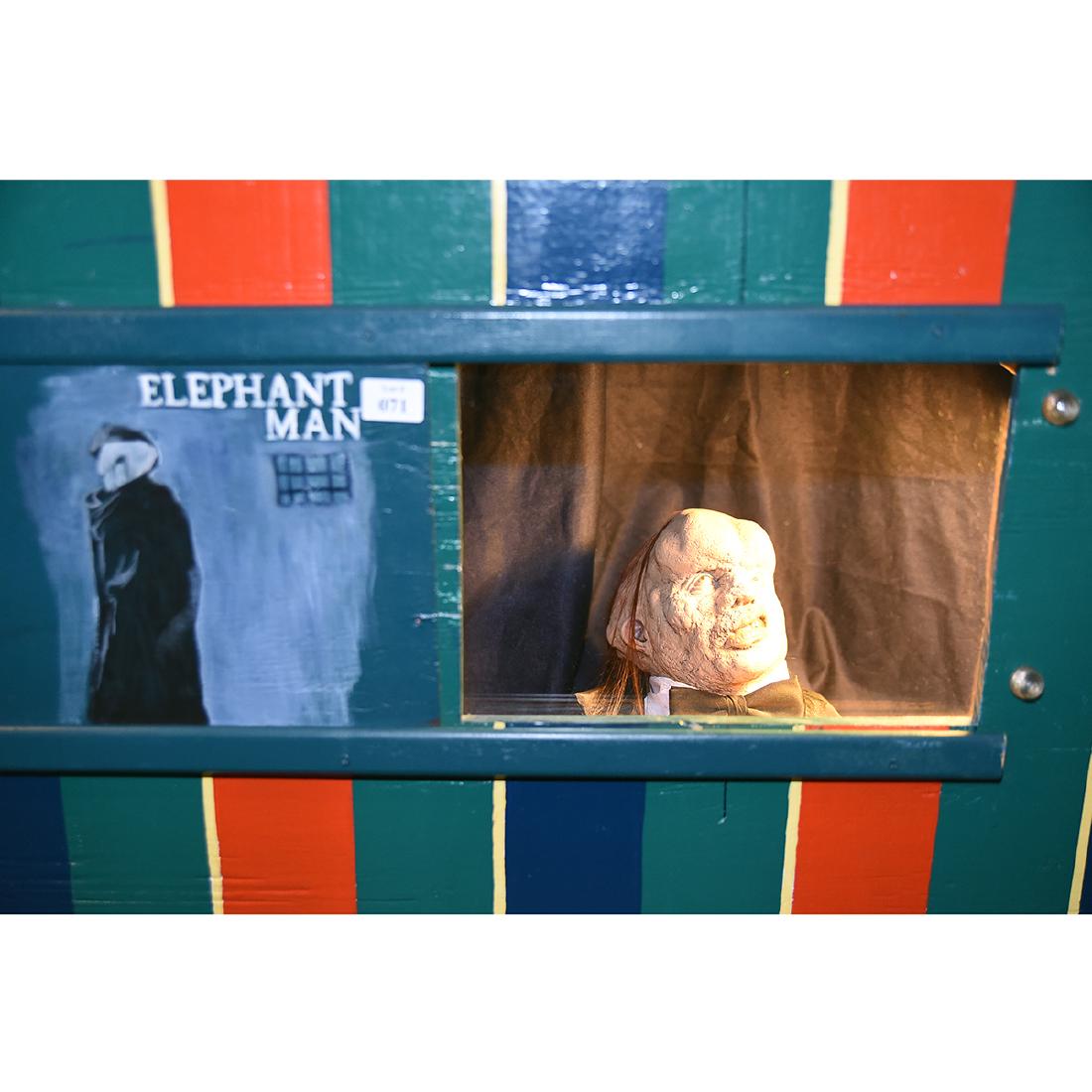 Elephant Man Display (1 of 1)