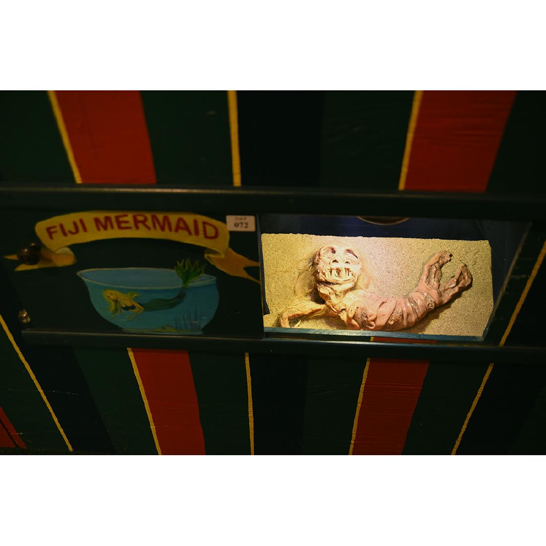 Fiji Mermaid Display (1 of 1)