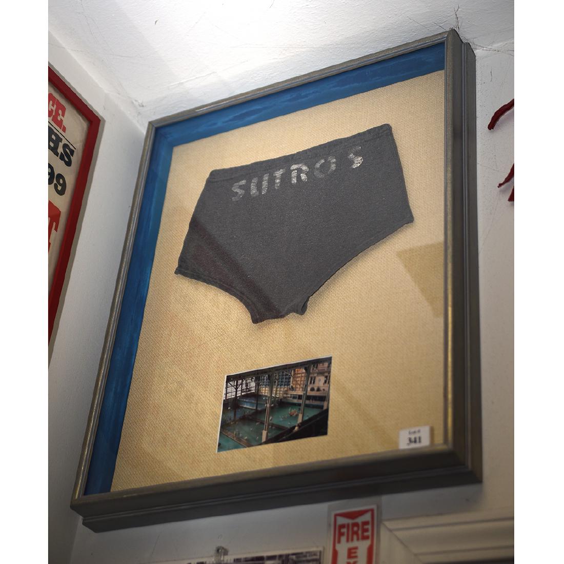 Sutros Baths Framed Swim Trunks (1 of 1)