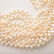 Tiffany Paloma Picasso "Torsade" Cultured Pearl - 2