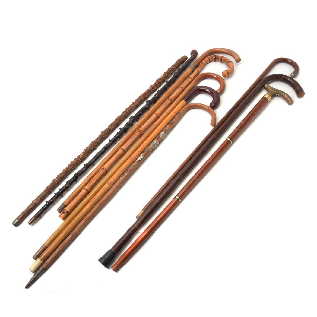 Group of Ten Vintage Walking Sticks: Group of Ten Vintage Walking Sticks and Canes. Including flashlight cane, souvenier plaque cane, and burl canes. {Approximate dimensions: Longest 38 inches.}