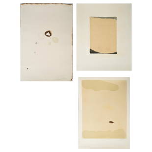 Shoichi Ida 3 "Surface Between..." mixed media: SHOICHI IDA (Japanese b. 1941) "Surface is between the paper", "Paper between stain and stain - no. 51" and "Paper between a Leaf and water" Mixed media silkscreen and collage. 29 3/8 x 19 3/8 inches.