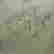 item-80768222=3