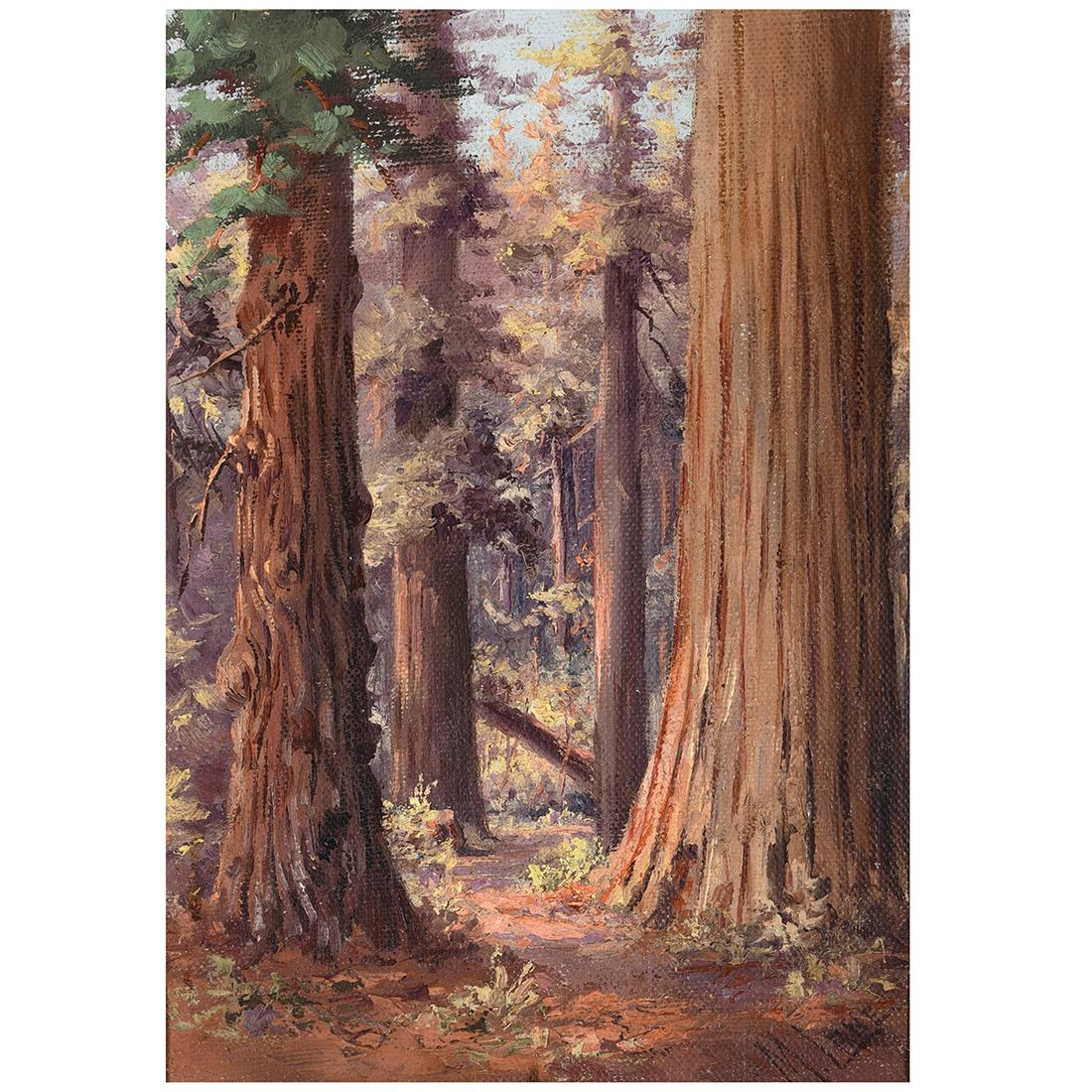Martella Cone Lane "Redwood Grove" oil on artist board: MARTELLA CONE LANE (American 1875-1962) "Redwood grove" Oil on artist board. 10 1/8 x 7 1/8 inches; Frame: 13 1/2 x 10 1/2 inches. Signed lower right: M. Lane.
