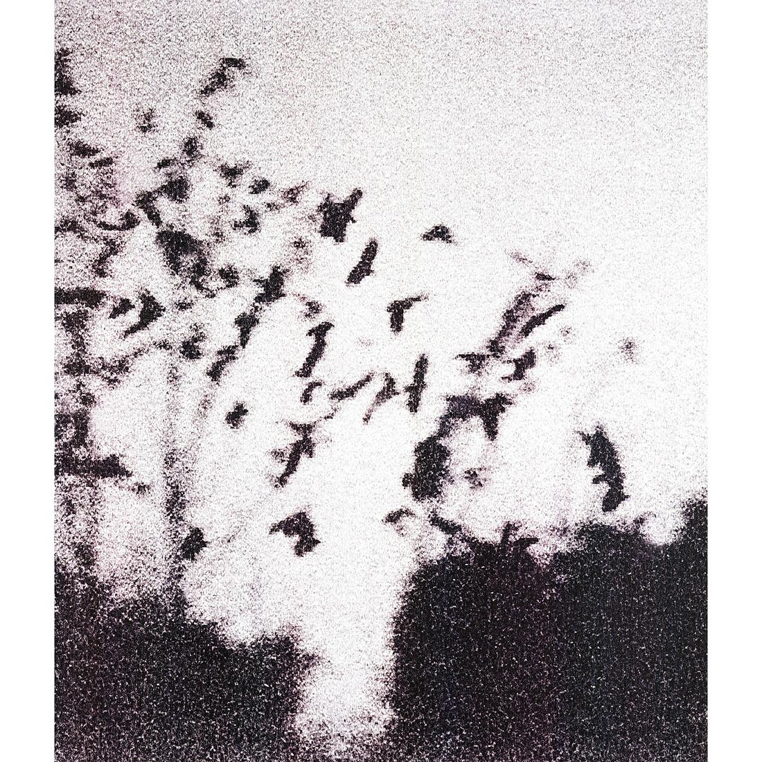 Michal Rovner "Way Out" digital output on canvas: MICHAL ROVNER (Israeli b. 1957) Way Out Digital output on canvas 54 1/4 x 45 1/4 inches; 137.79 x 114.93 cm Titled and numbered along the stretcher bar lower right recto; "Way Out" 2/5; Stephen Wirtz