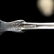 Joseph Mayer & Bros. Art Nouveau Sterling Silver Forks, - 2