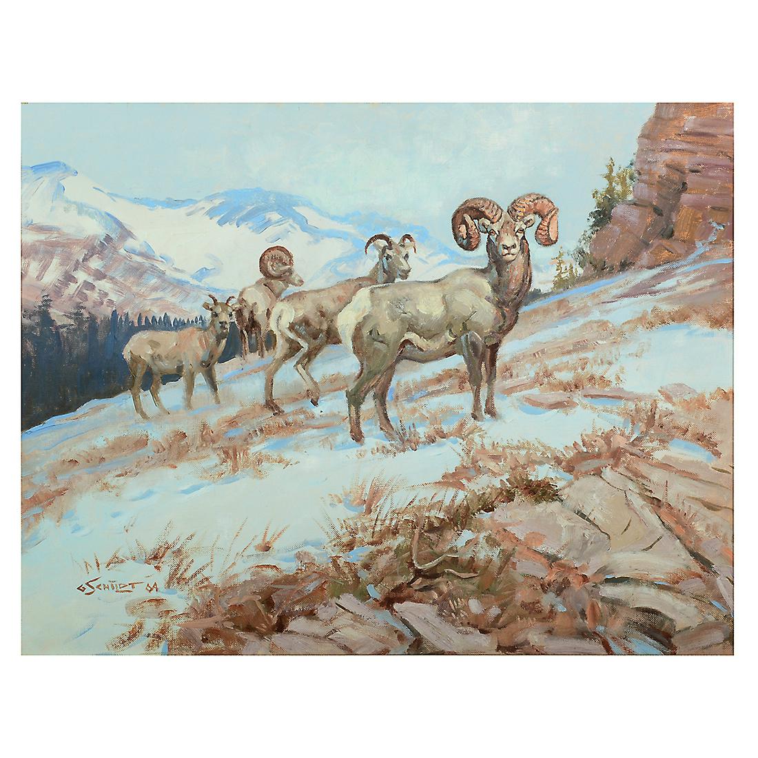 Gary Schildt "Bighorn Sheep" oil on artists board: GARY SCHILDT (American b. 1938) "Bighorn Sheep" Oil on artist board. 15 7/8 x 19 7/8 inches; Frame: 24 3/8 x 28 1/4 inches. Signed and dated lower left: G. Schildt 04.
