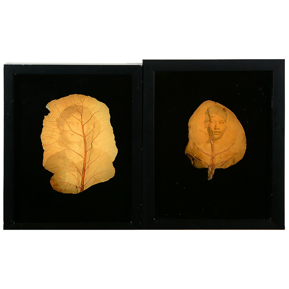 Binh Dahn "The Botany of S-21: person 17 and 374" (1 of 4)