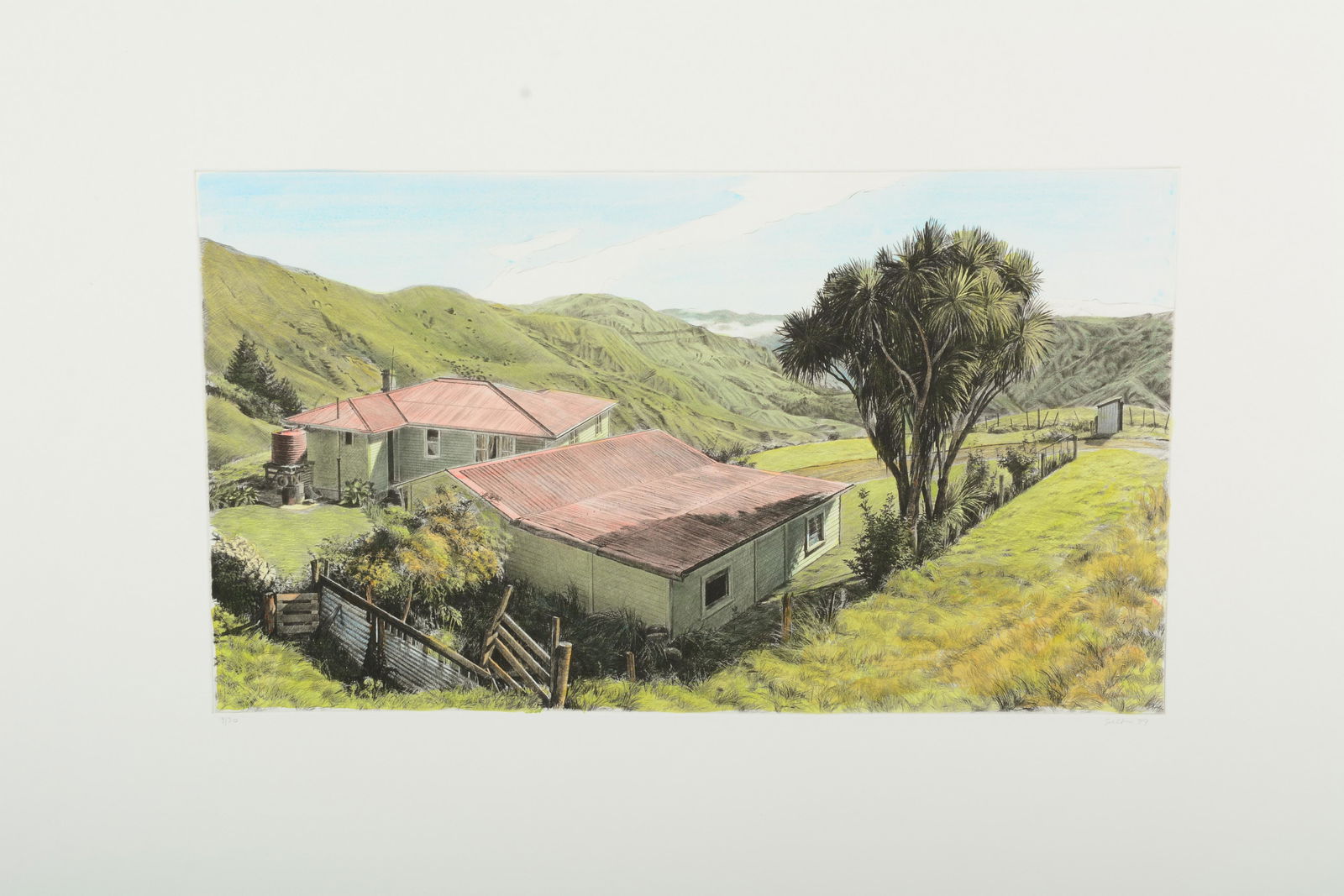 Altoon Sultan "Red Roofs, North Island, New Zealand" (1 of 3)