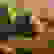 item-94802400=7