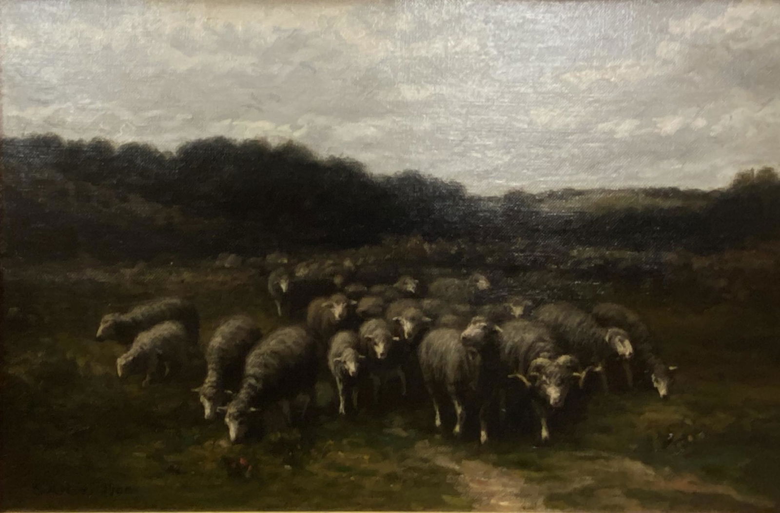 George Hays "Sheep" oil on canvas (1 of 5)