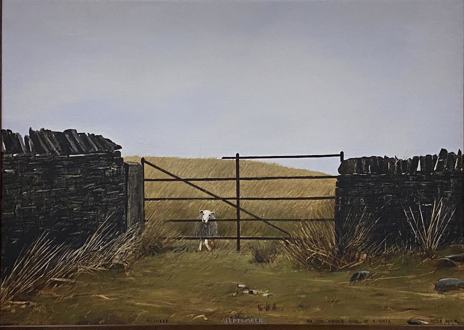 Peter Brook "September: A sheep on the wrong side of a (1 of 5)